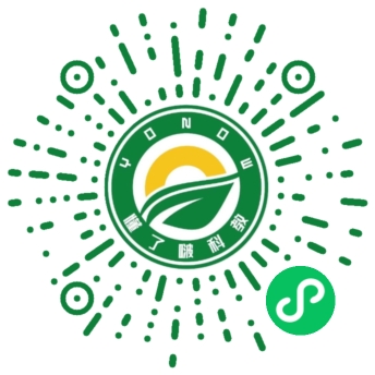 懂了啵小程序码